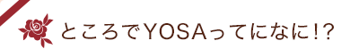 ところでYOSAってになに!？